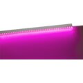 abovo_nel-fito-01+light