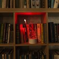 abovo_ul-00007419_uli-m501_rgb_3aaa_catty_white_int05