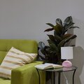 abovo_ul-00010754int3