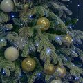 abovo_ul-00012091int2