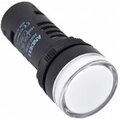 adl10-163-andeli