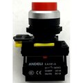 adl10-258-andeli