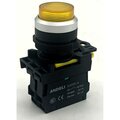 adl10-268-andeli