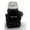 adl10-277-andeli