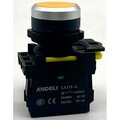 adl10-309-andeli