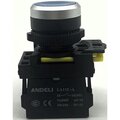 adl10-310-andeli