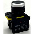 adl10-311-andeli