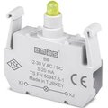 b8-emas