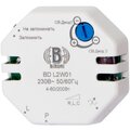 bd-l2w-01-bironi