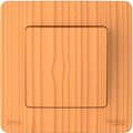 blnvs410605-systeme-electric