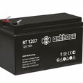 bt-1207-battbee-akb3