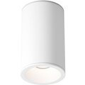 c029cl-01-s-w-maytoni