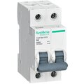 c9f16206-systeme-electric
