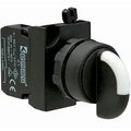 cp100s20-emas
