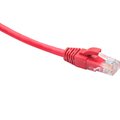 dr-181317-datarex