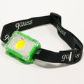 gf305-gauss-2
