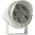 ll-700-51781-saffit