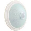 overhead-lights-lnpo0-3234d-2-025-k01-iek-1