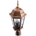 pl162-11329-feron
