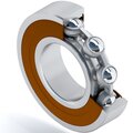 s0029139-dinroll