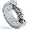 s0064137-dinroll