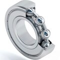 s0064140-dinroll
