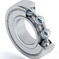 s0066589-dinroll