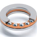 s0109484-dinroll