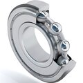 s0152163-dinroll