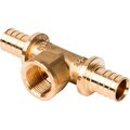 sfa-0028-002534-stout2