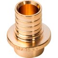 sfa-0030-000020-stout-2
