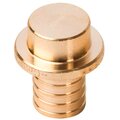 sfa-0030-000020-stout