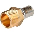 sfp-0001-003416-stout3