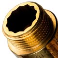 sft-0001-003470-stout-3