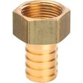 sft-0036-003420-stout8