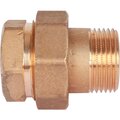 sft-0040-000001-stout-3