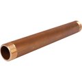 sft-0062-010250-stout-2