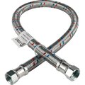shf-0320-182020-stout