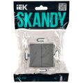 sk-v22-1-10-k03-iek-2
