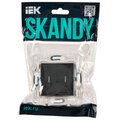 sk-v22-1-10-k48-iek-2