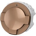 sq1819-0451-tdm