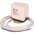 ste-0010-024002-stout