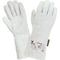 t10-eco3-2hands
