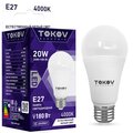 tke-a60-e27-20-4k-tokov-electric
