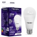 tke-a60-e27-25-4k-tokov-electric