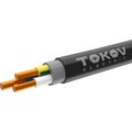 tkhm00409105-tokov-electric