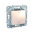 unica-mgu5-262-25zd-schneider-electric