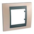 unica-mgu66-002-296-schneider-electric