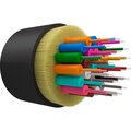ut000064950-ntss