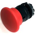 zb5bc4-br-briswik